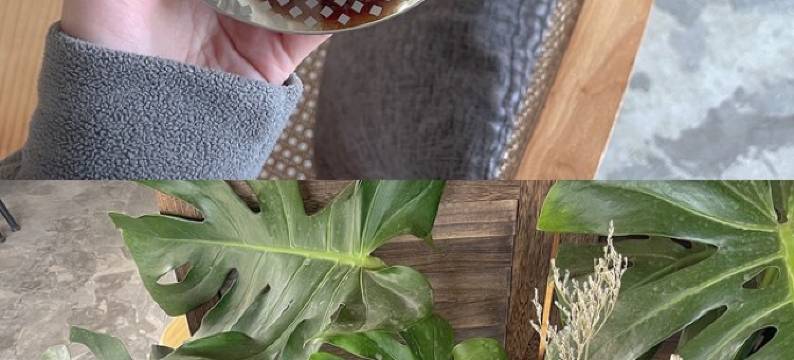 岛主home特色民宿(老宫线分店)图片