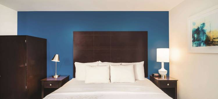 布鲁克林市中心拉昆塔温德姆套房酒店(La Quinta Inn & Suites by Wyndham Brooklyn Downtown)图片