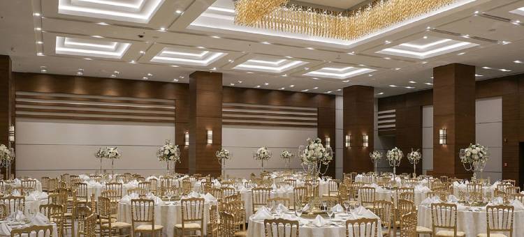 安卡拉安卡拉珀恩特酒店(Radisson Blu Hotel Ankara Cankaya)图片