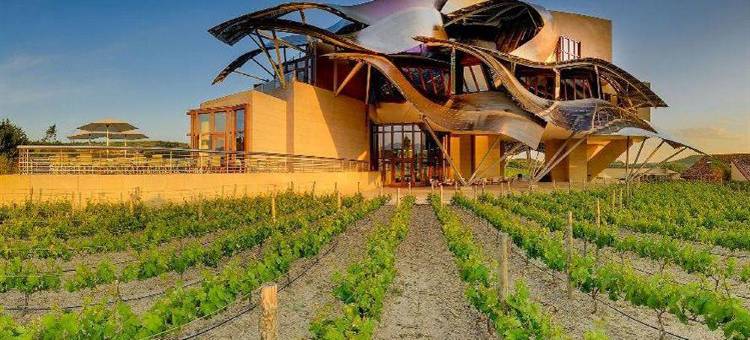 埃尔希耶戈侯爵标志豪华精选酒店(Hotel Marqués de Riscal, a Luxury Collection Hotel, Elciego)图片