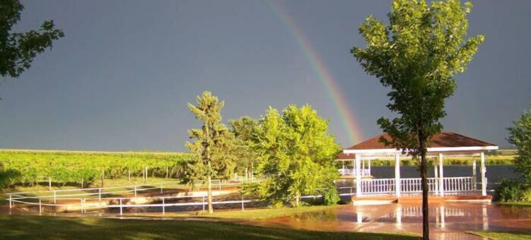 I-74 及 155 舒适套房酒店(Comfort Inn & Suites at I-74 and 155)图片