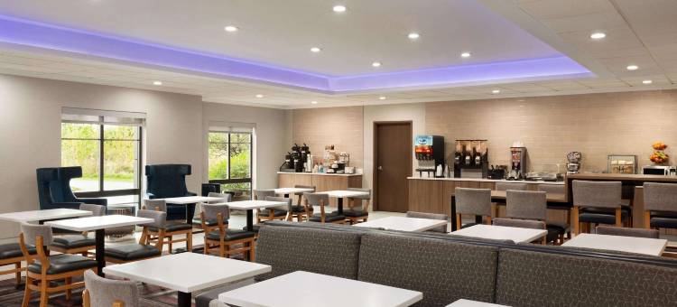 拉克万纳拉昆塔温德姆套房酒店(La Quinta Inn & Suites by Wyndham Lackawanna)图片