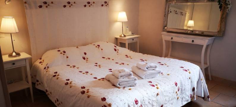 杜马斯艾维斯克花园酒店(Les Jardins du Mas Evesque)图片