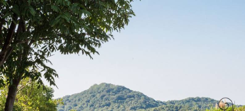 樊宝丫丫度假别墅(辰花路分店)图片