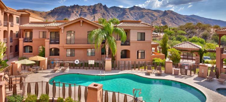 图森帕洛马村希尔顿安泊套房酒店(Embassy Suites by Hilton Tucson Paloma Village)图片