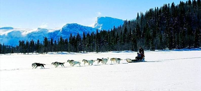 海姆瑟达尔舒适村舍酒店(Koselig Hytte I Hemsedal)图片