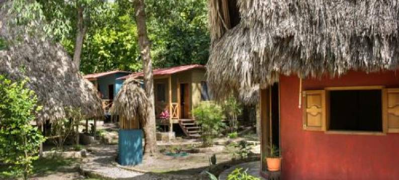 Alice Guesthouse图片