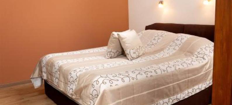 格勒尼巴拉兹斯扎罗公寓(Balázs Szálló)图片