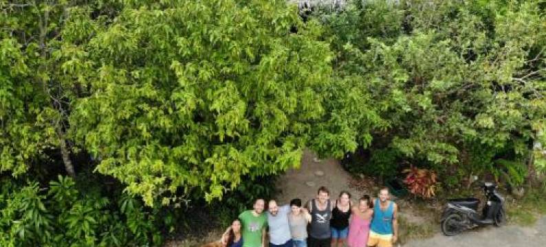 Lazy Lizard Hostel图片