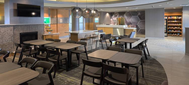 奥尔巴尼-科勒尼 SpringHill Suites 酒店(SpringHill Suites Albany-Colonie)图片