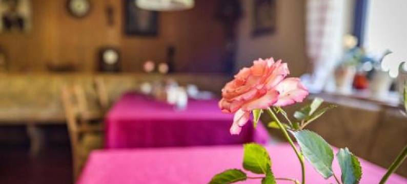 Hotel- Pension Oechsner图片