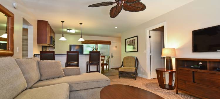 Aina Nalu A104图片