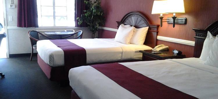 里布戴娜丝缇套房酒店(Dynasty Suites Hotel)图片