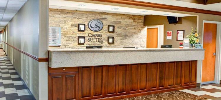 舒适套房酒店-史蒂文斯维尔圣约瑟夫(Comfort Suites Stevensville - St Joseph)图片