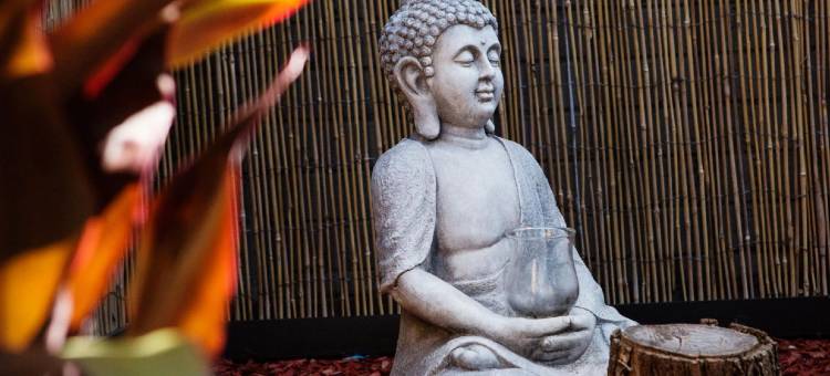 维拉伍德酒店(Villawood Hotel)图片