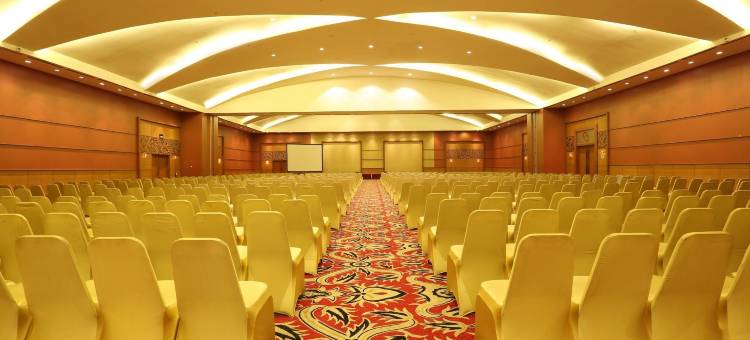 巴邻旁阿里亚酒店(Aryaduta Palembang)图片