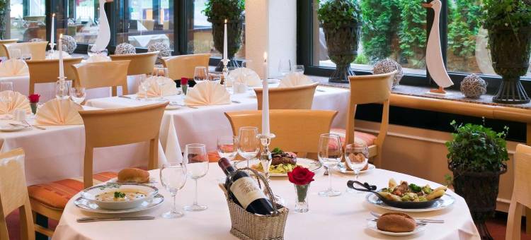 萨尔布吕肯市美居酒店(Mercure Hotel Saarbruecken City)图片