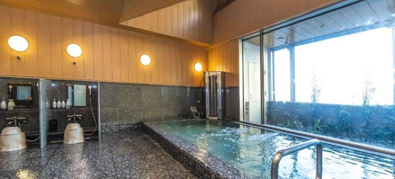 筑波研究学园马克1号酒店(Hotel Mark-1 Tsukuba)图片