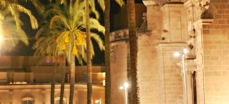 阿尔梅里亚大教堂酒店(Catedral Almería)图片