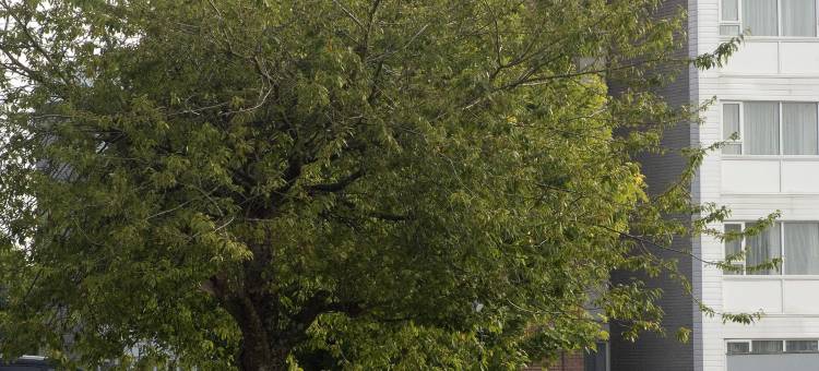 北加帝夫普瑞米尔酒店(Cardiff North)图片