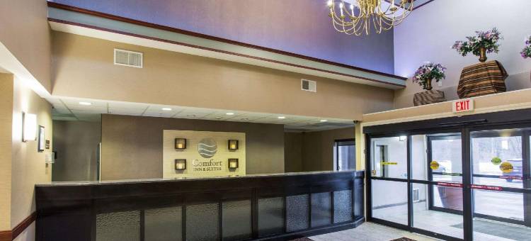 舒适套房酒店(Comfort Inn & Suites Jackson North)图片