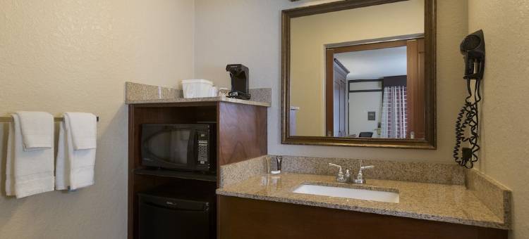 奥兰多罗森酒店(Rosen Inn at Pointe Orlando)图片