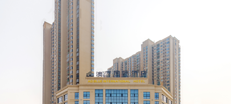 无为澳蓝国际酒店(市政府店)图片