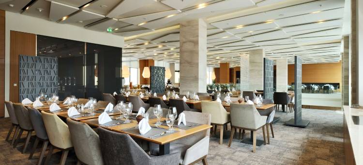 卢布尔雅那丽笙广场酒店(Radisson Blu Plaza Hotel, Ljubljana, Si)图片