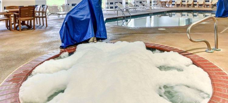 温泉城舒适套房酒店(Comfort Suites Near Hot Springs Park)图片