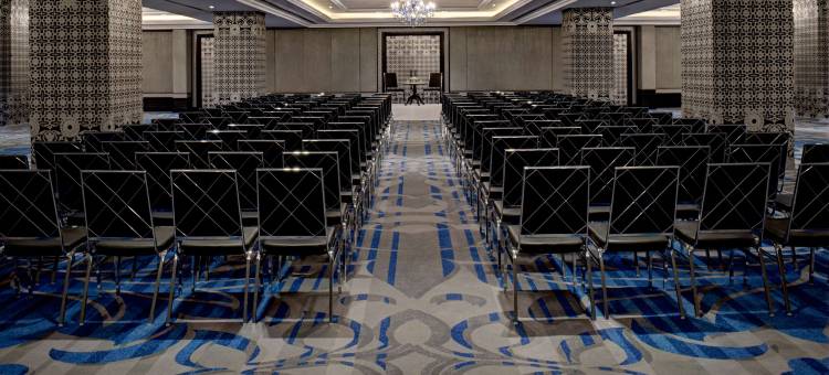 卢迪亚纳凯悦酒店(Hyatt Regency Ludhiana)图片