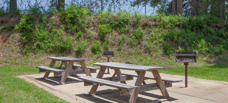 纳奇托且斯温德姆速8酒店(Super 8 by Wyndham Natchitoches)图片