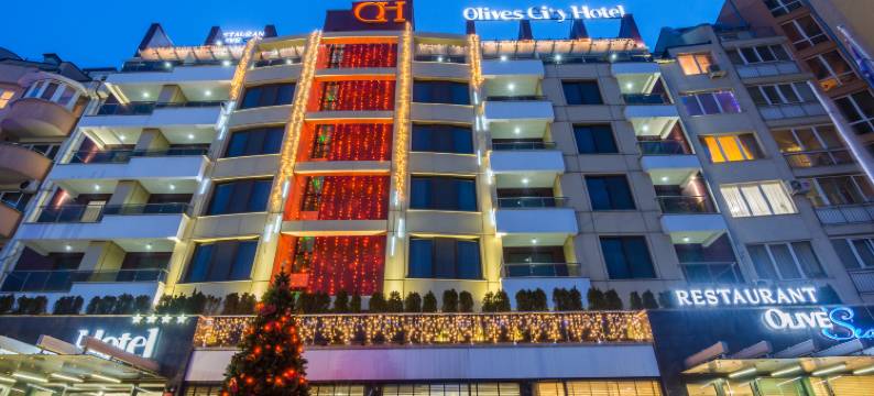 橄榄城贝斯特韦斯特优质酒店(Best Western Plus Olives City Hotel)图片
