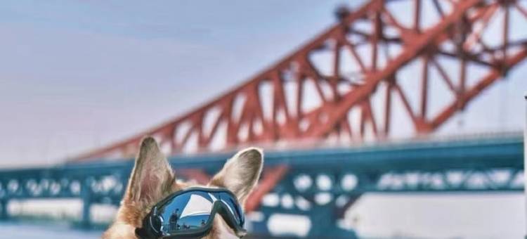 梅山叶哥19906599517度假别墅(圣山路分店)图片