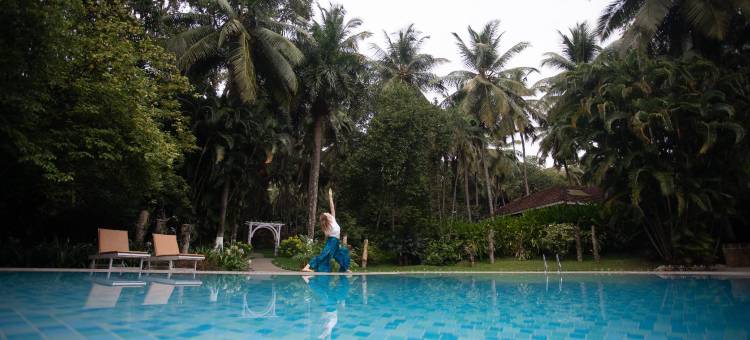 凯拉里印度疗养酒店(Kairali - the Ayurvedic Healing Village)图片