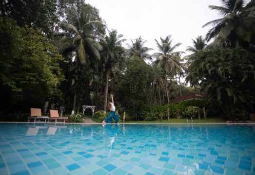 Kairali - the Ayurvedic Healing VillageHotel Overview