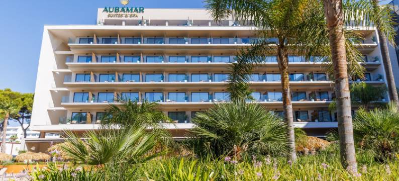 Aubamar套房和水疗中心(Aubamar Suites & Spa)图片