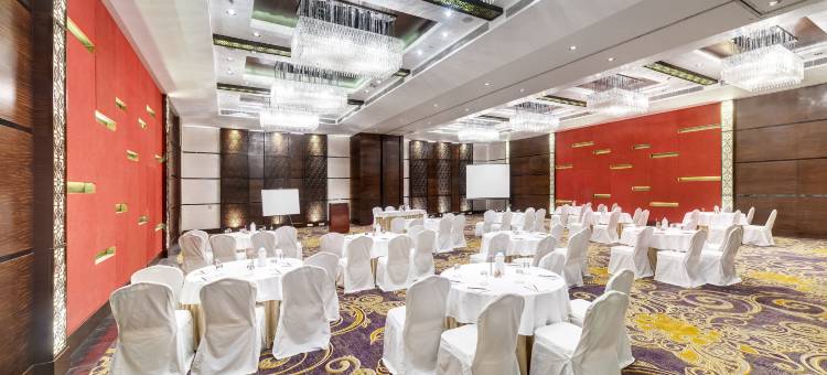 加尔各答傲世广场酒店(Pride Plaza Hotel, Kolkata)图片
