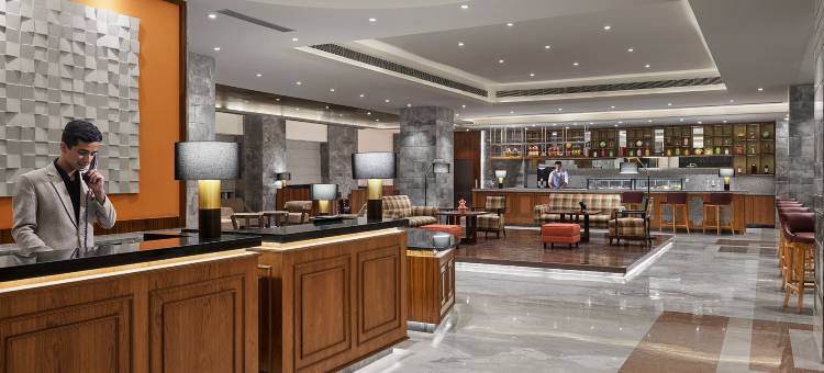 新德里贾纳克普里凯悦尚萃酒店(Hyatt Centric Janakpuri New Delhi)图片