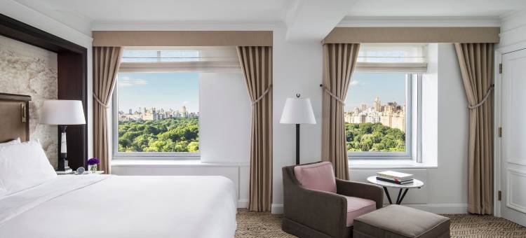 纽约中央公园丽思卡尔顿酒店(The Ritz-Carlton New York, Central Park)图片