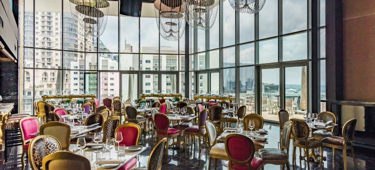 斯凯桑顿酒店(Hotel Sky, Sandton)图片