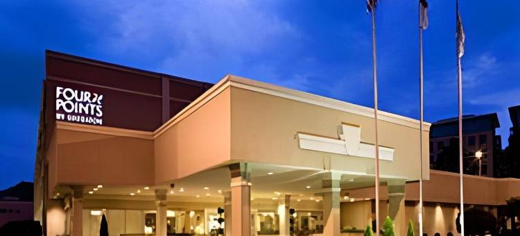 阿什维尔市中心福朋喜来登酒店(Four Points by Sheraton Asheville Downtown)图片