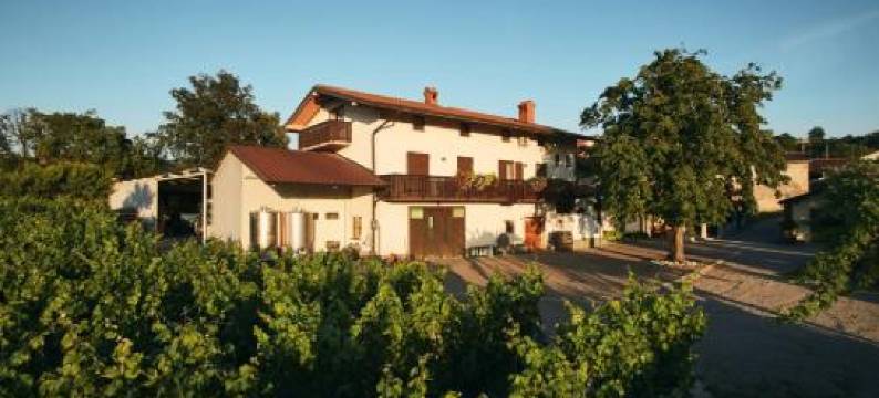 Ferjančič Estate Rooms图片