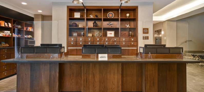 波士顿纽顿福朋喜来登酒店(Four Points by Sheraton Boston Newton)图片