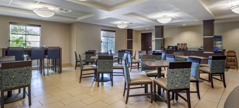 雅典舒适酒店(Comfort Inn Athens I - 75)图片
