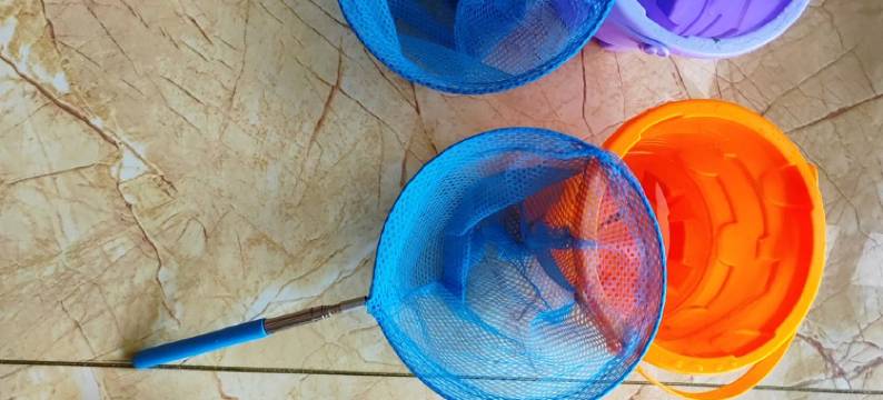 蓬莱景区海景民宿(仙境路1号分店)图片