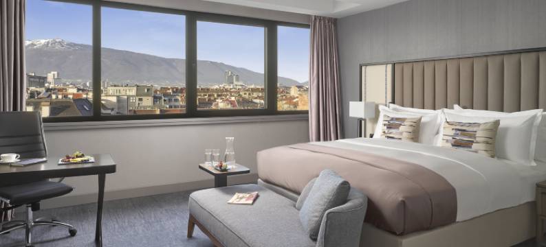 索非亚洲际酒店(InterContinental Hotels SOFIA by IHG)图片