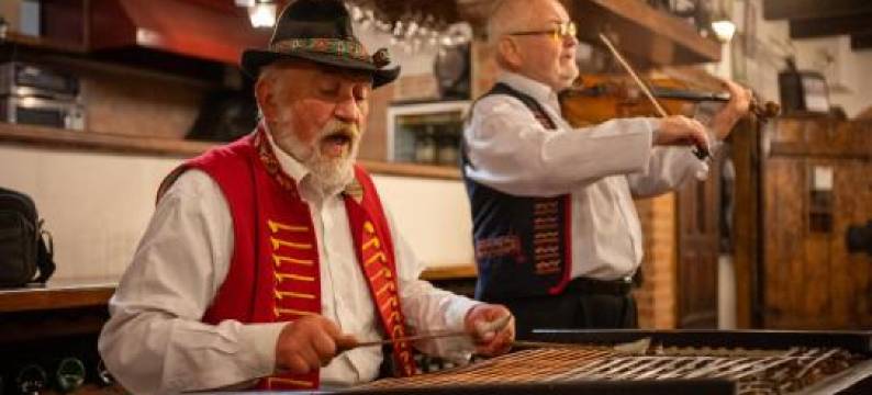 鲁斯提卡酒店(Hotel Rustikal Hustopeče - U Mandloňových sadů)图片