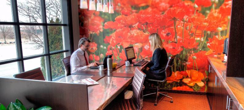 滑铁卢圣雅各布万怡酒店(Courtyard Waterloo St. Jacobs)图片