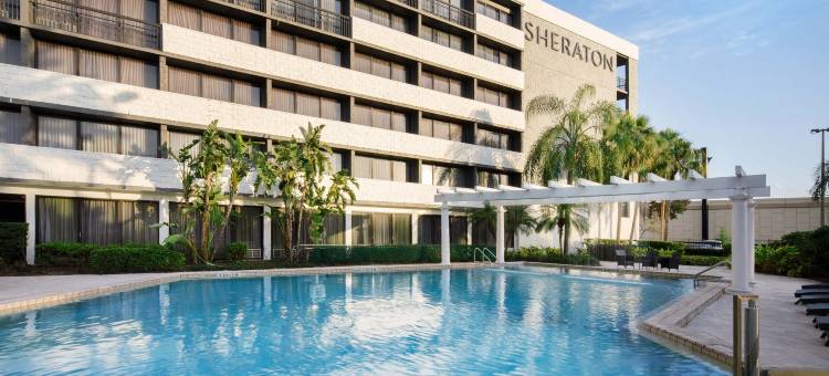 奥兰多北喜来登酒店(Sheraton Orlando North Hotel)图片