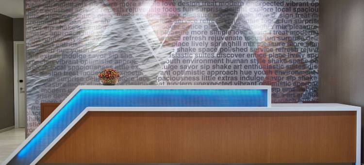 夏洛特卡罗温兹万豪SpringHill Suites酒店(SpringHill Suites Charlotte at Carowinds)图片